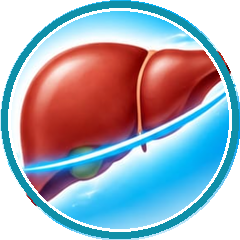 Healthy liver